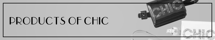 PRODUCTS OF CHIC