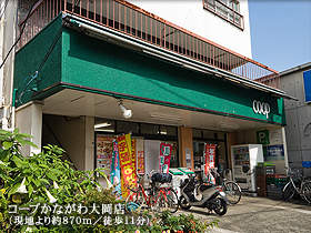 コープかながわ大岡店(現地より約870m/徒歩11分)