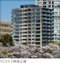 ウェリス上野池之端