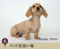 ペット足洗い場