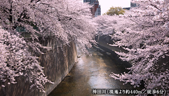 神田川（現地より約440m/徒歩6分）