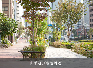 山手通り（現地周辺）