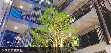 クリオシリーズ　◎クリオ武蔵新城