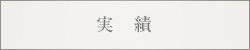 実績
