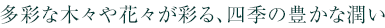 芳醇な彩りと潤いに四季を感じる植栽。